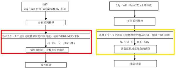 大肠埃希氏菌平板计数法检验程序（左：2012版   右：征求意见稿）